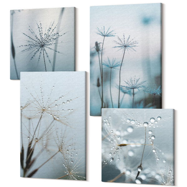 Sada obrazov kvadryptych Jemné púpavy s kvapkami vody