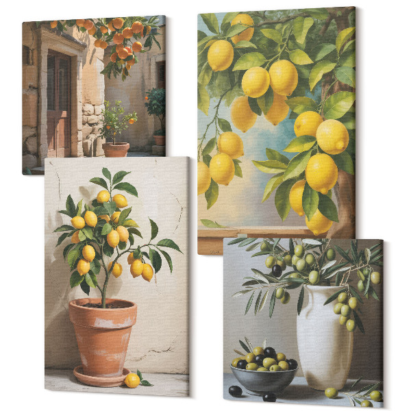 Sada obrazov kvadryptych Citrónové stromy v kvetináčoch a vázach