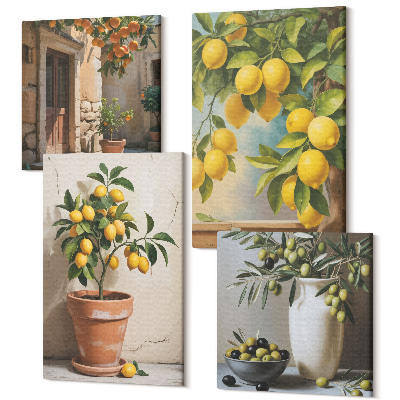 Sada obrazov kvadryptych Citrónové stromy v kvetináčoch a vázach