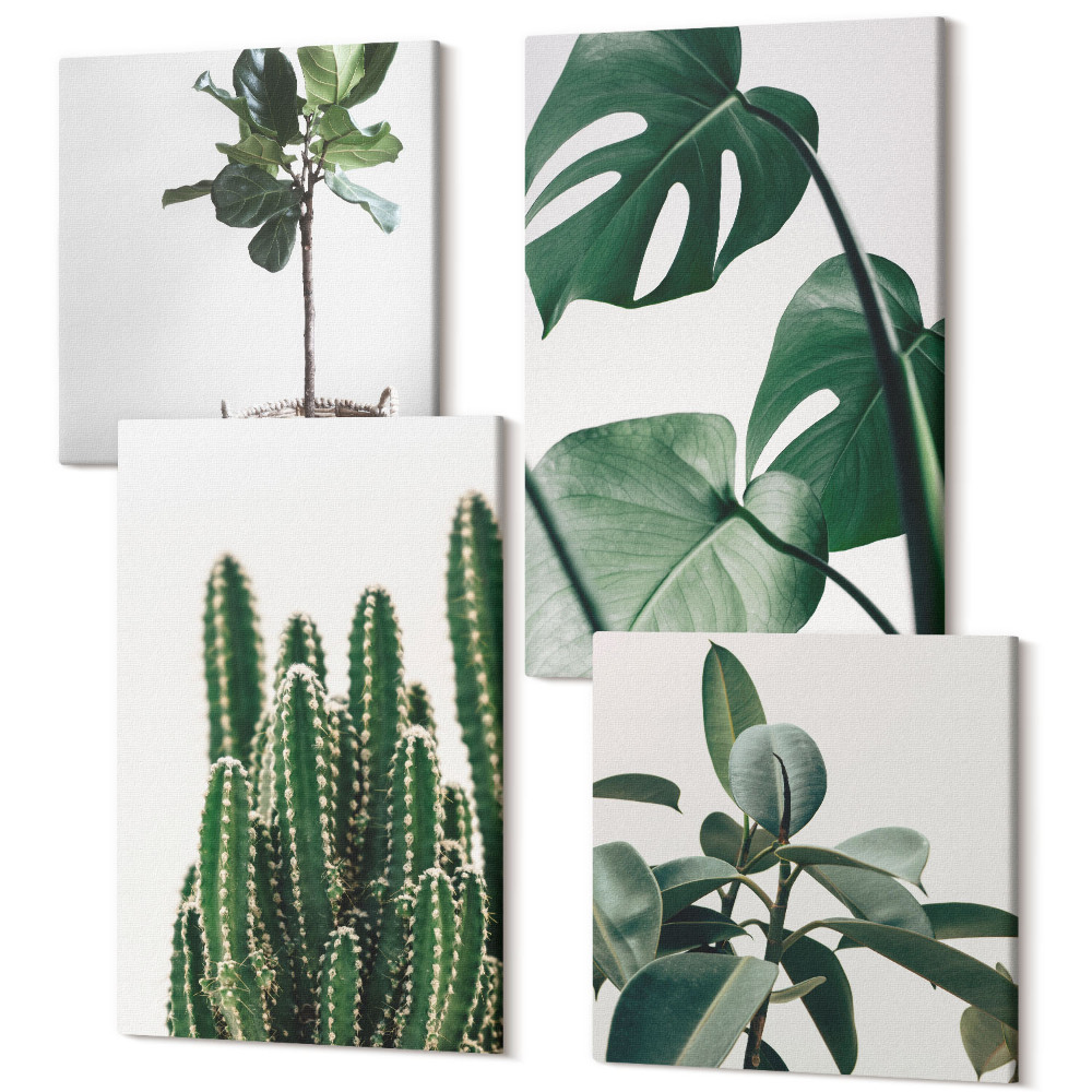 Sada obrazov kvadryptych Tropické izbové rastliny estetické listy