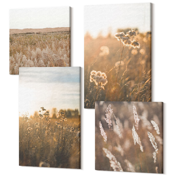 Sada obrazov kvadryptych Letné pohľady na lúky a kvety pri západe slnka