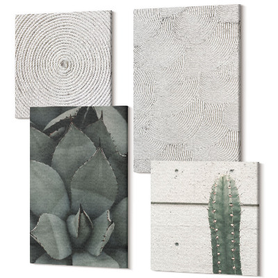 Sada 4 obrazov Letné textúry zblízka v tropickom podnebí