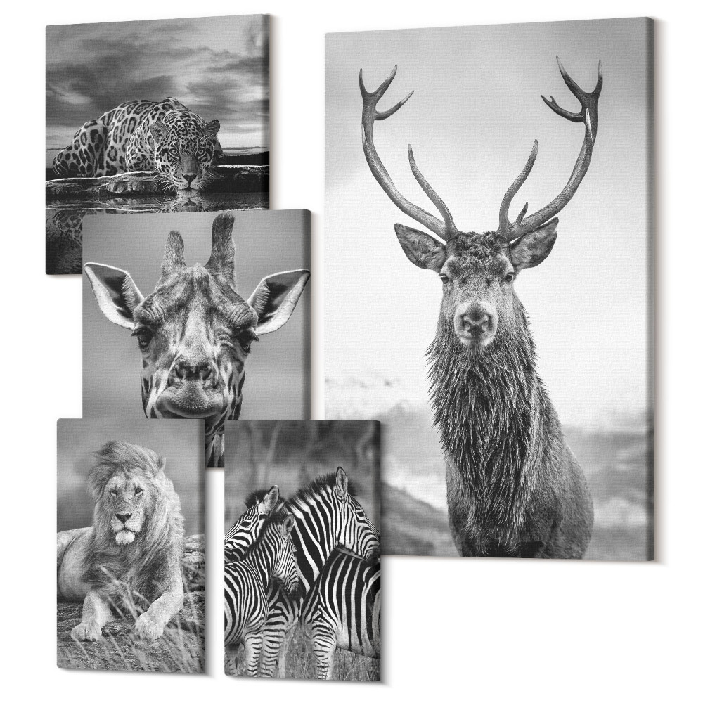 Sada obrazov pentaptych Zvieratá v čiernej a bielej z prírody a voľne žijúcich živočíchov