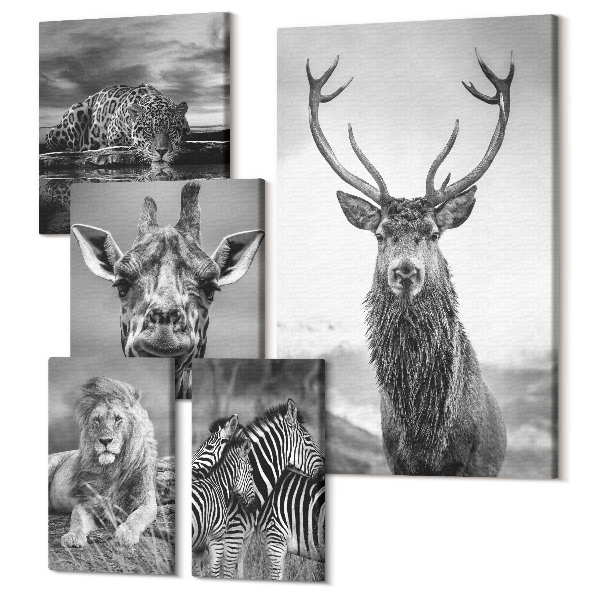 Sada obrazov pentaptych Zvieratá v čiernej a bielej z prírody a voľne žijúcich živočíchov