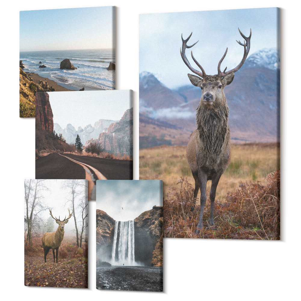 Sada 5 obrazov Príroda a divoké zvieratá v malebnej krajine