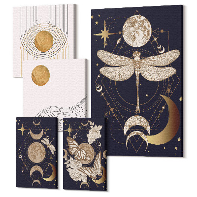 Sada 5 obrazov Štýlové vesmírne motívy s hmyzom a geometrickými vzormi