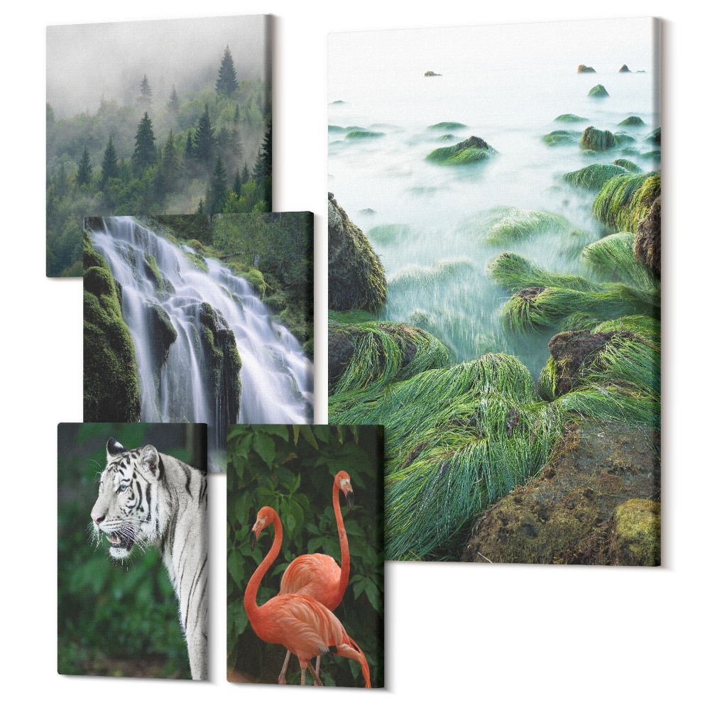 Sada 5 obrazov Príroda v jej rôznych podobách s divokými zvieratami a krajinou