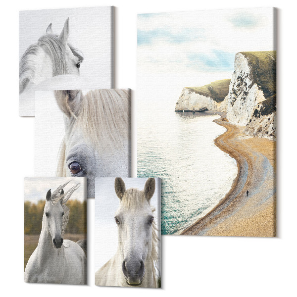 Sada 5 obrazov Kone na pláži a v prírode v minimalistickom štýle