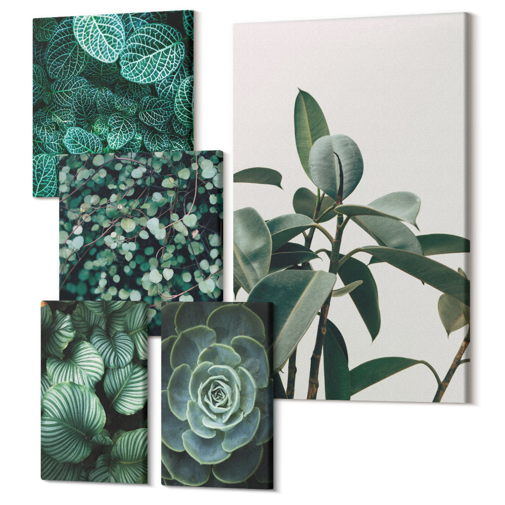 Sada obrazov pentaptych Rastlinné motívy so zelenými listami a sukulentmi