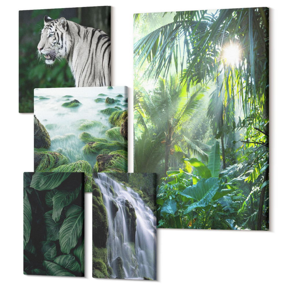 Sada 5 obrazov Tropická príroda s divokými zvieratami a vodopádmi