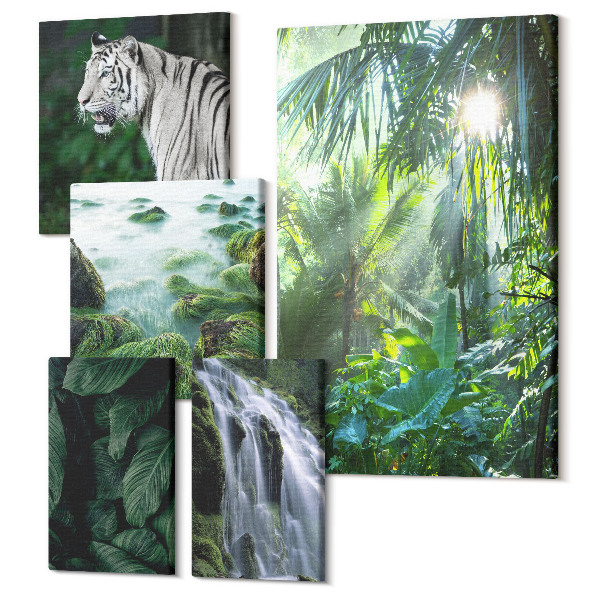 Sada 5 obrazov Tropická príroda s divokými zvieratami a vodopádmi