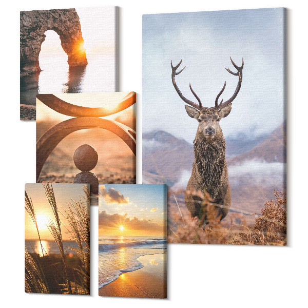 Sada obrazov pentaptych Príroda a divoké zvieratá v harmonickom prostredí