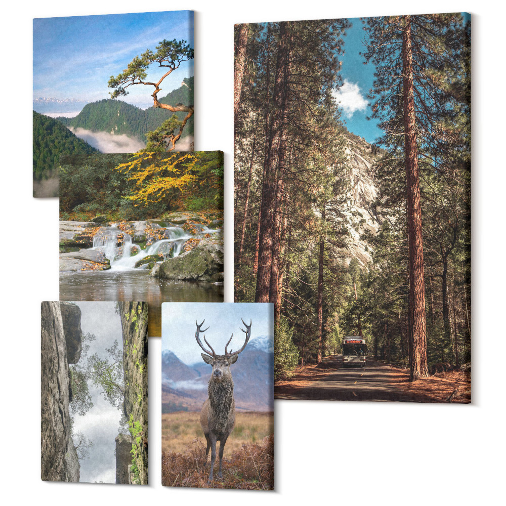 Sada 5 obrazov Prírodné krajiny horských lesov a voľne žijúcich živočíchov