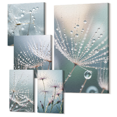 Sada obrazov pentaptych Kvapky rosy na jemných rastlinách v minimalistickom štýle