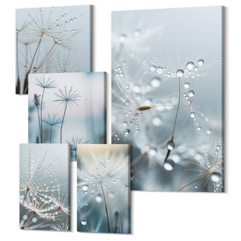 Sada obrazov na stenu pentaptych Jemné rastlinné motívy s kvapkami vody na prírodnom pozadí