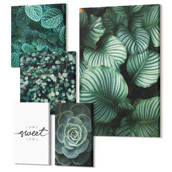 Sada 5 obrazov Zelené listy a rastliny v modernom štýle