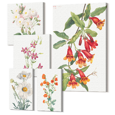 Sada 5 obrazov Botanické kvetinové motívy na plátne