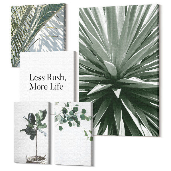 Sada obrazov na stenu pentaptych Zelené listnaté rastliny v modernom dekoratívnom štýle