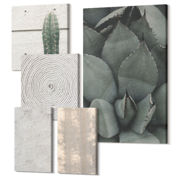 Sada 5 obrazov Letné textúry zblízka v tropickom podnebí