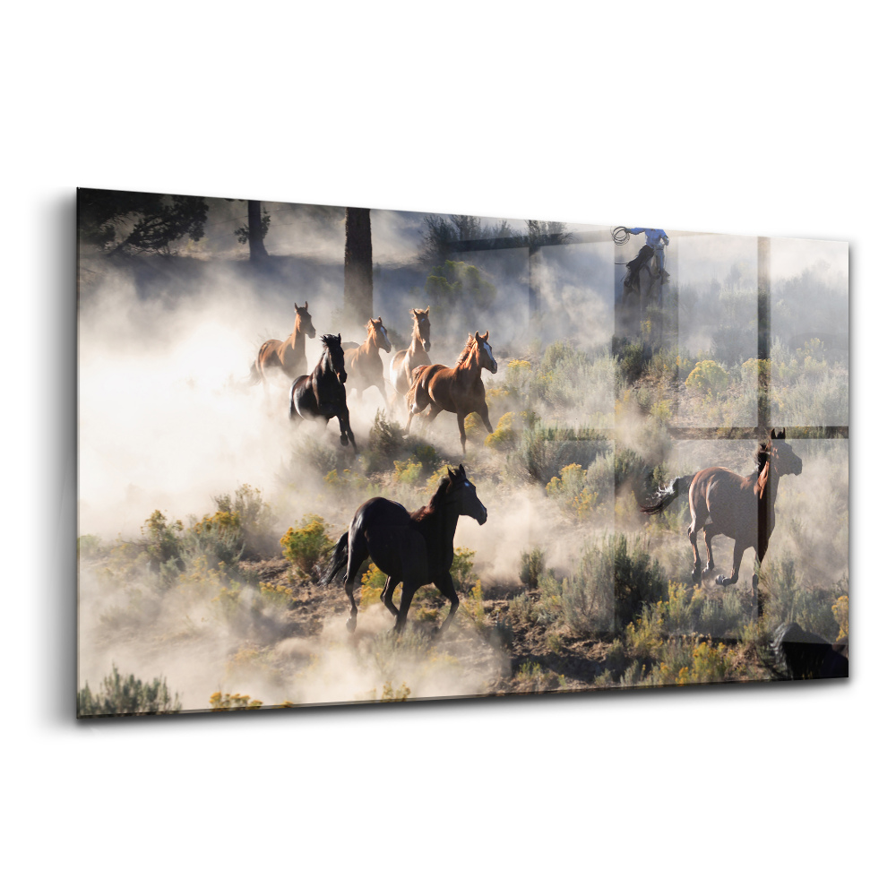 Sklenený obraz Stádo uháňajúcich koní