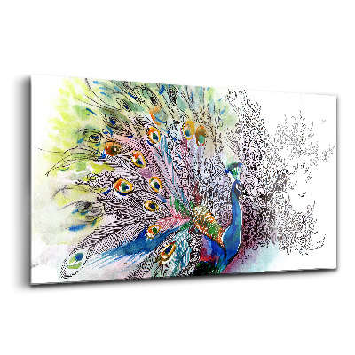 Sklenený obraz Farebný páv