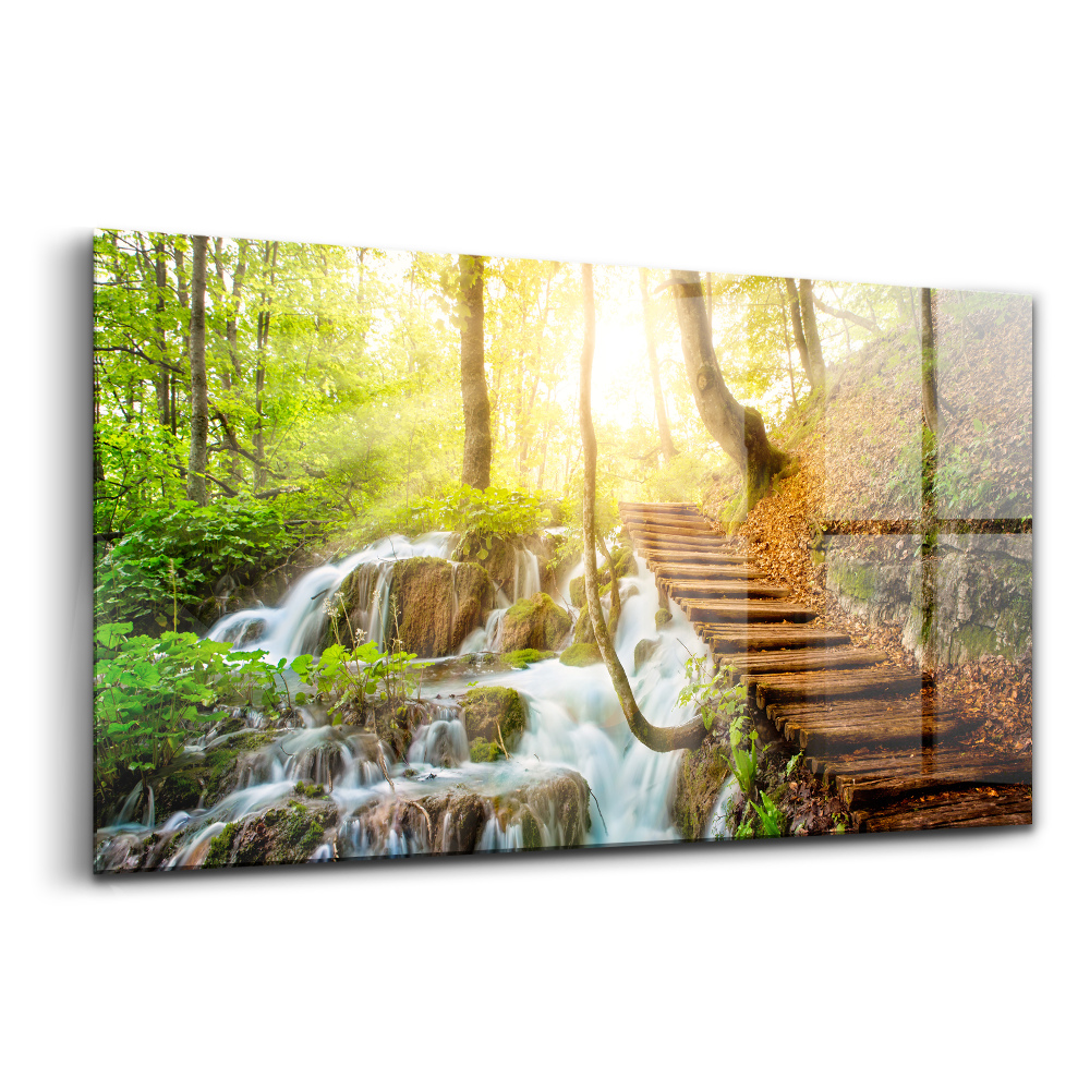 Obraz na skle Lesný potok