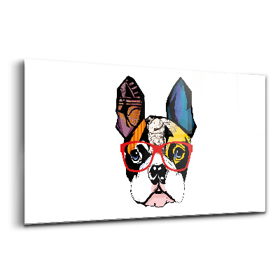 Sklenený obraz Francúzsky buldog s okuliarmi