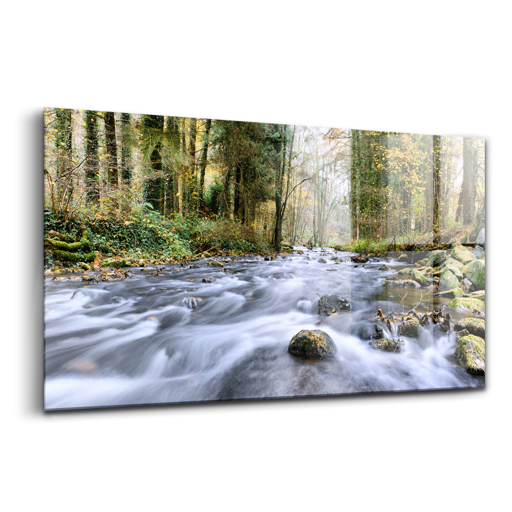 Sklenený obraz Horský potok v horách