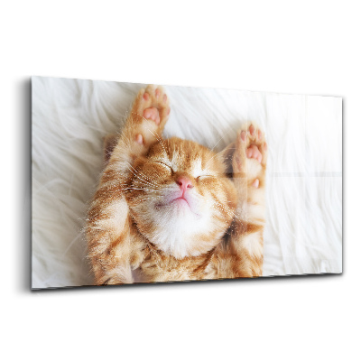 Luxusný sklenený obraz Malá spiaca mačka