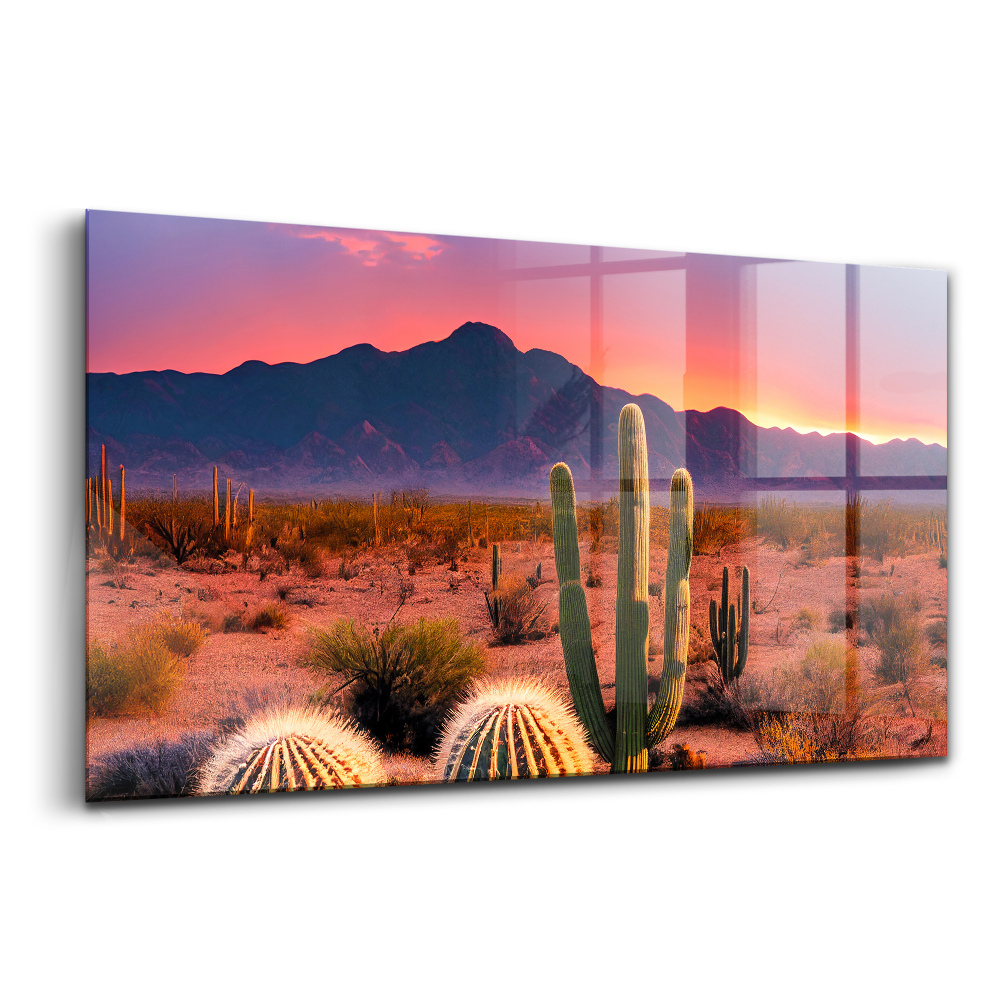 Sklenený obraz Západ slnka v púšti