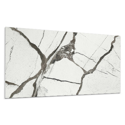 Stenový panel Mramorový vzor s žilami