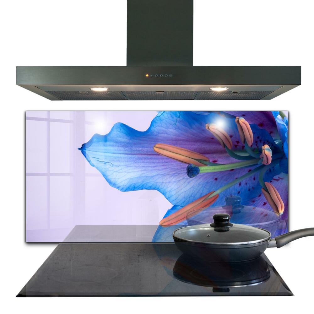 Zástena do kuchyne Krásna modrá ľalia