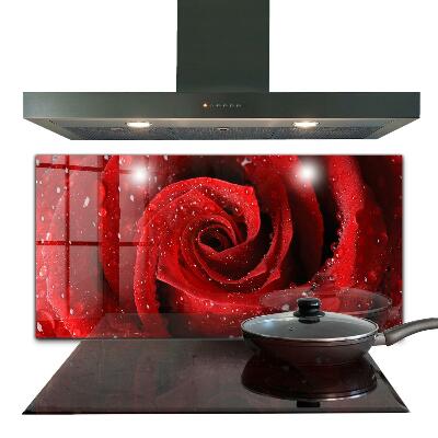 Zástena do kuchyne Kvapky rosy na červenej ruži