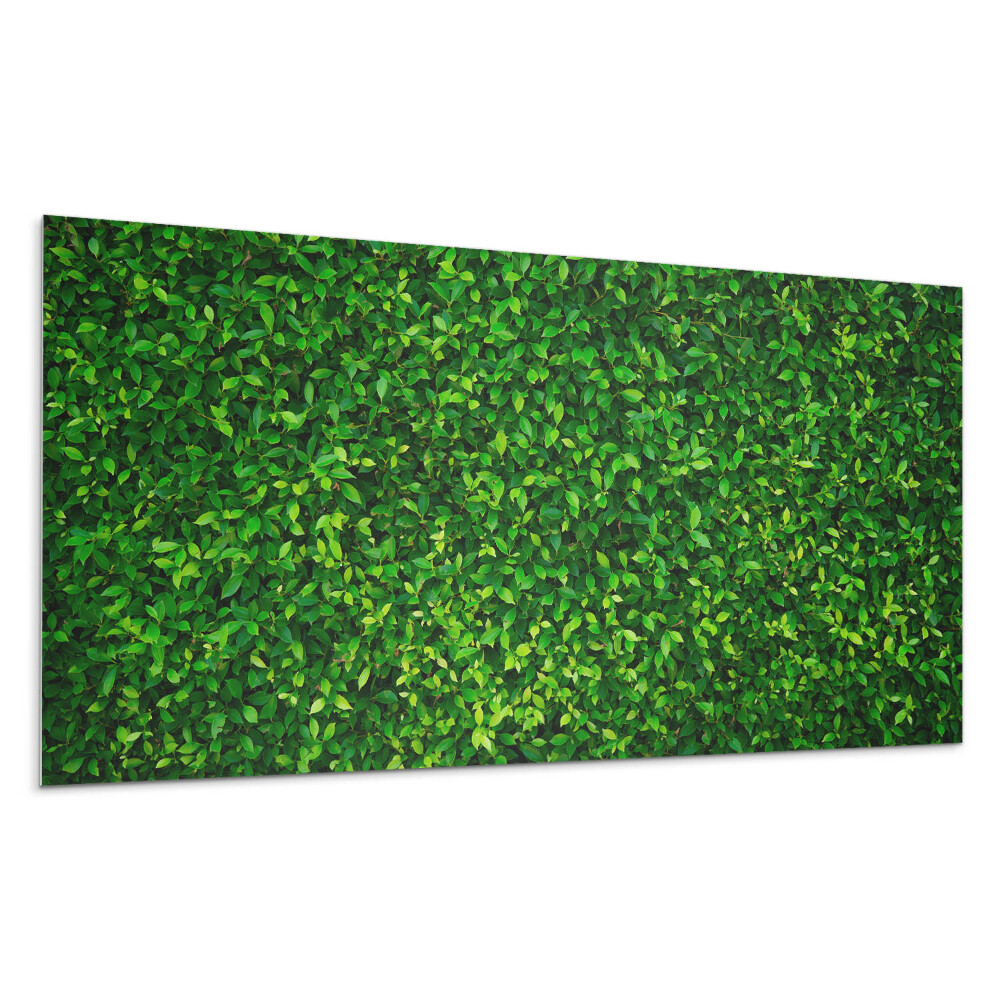 Pvc panel na stenu Hustá stena listov