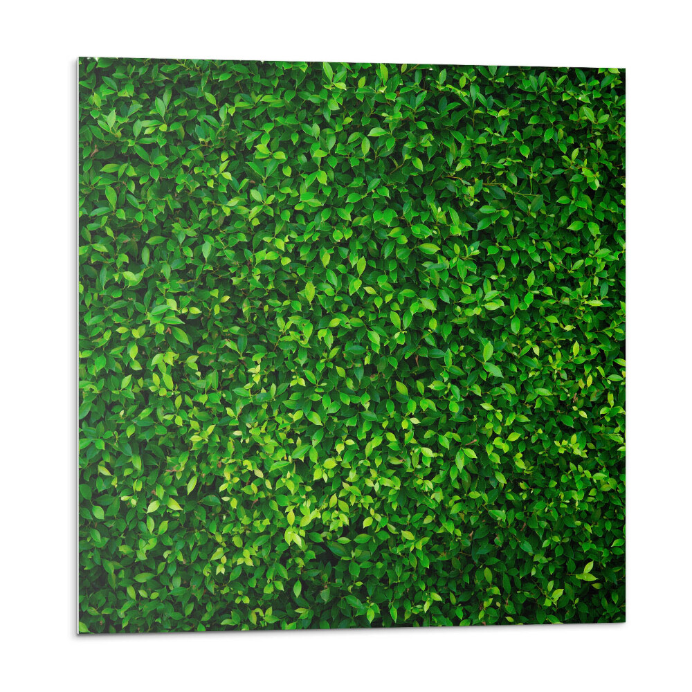 Dekoratívny nástenný panel Hustý les lístia