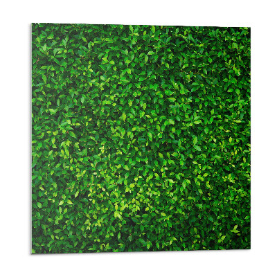 Dekoratívny nástenný panel Hustý les lístia