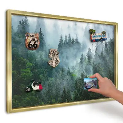 Magnetická tabuľa Hmlistý les na slnku