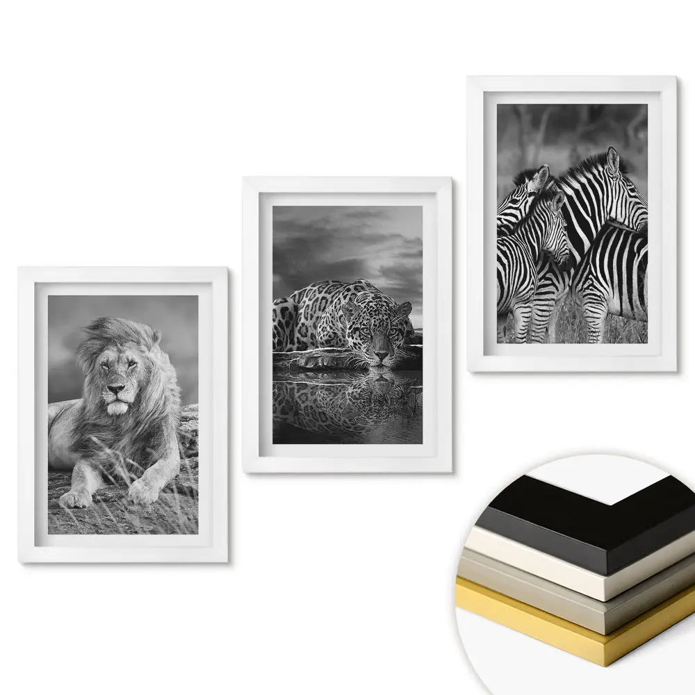 Set obrazov na stenu Divoká príroda v monochromatickom štýle