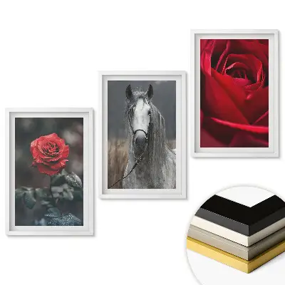 Triptych v ráme Kvety a kôň v harmonickej kombinácii