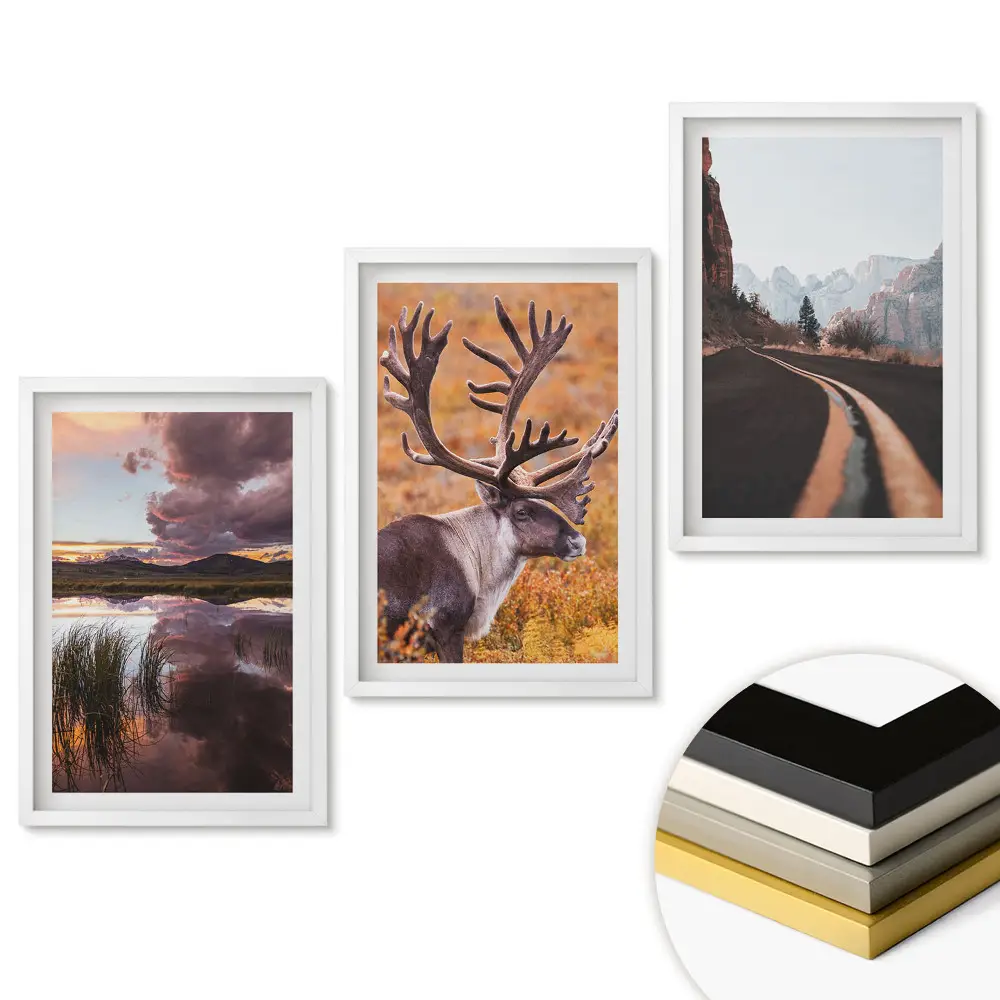 Triptych v ráme Príroda v troch verziách