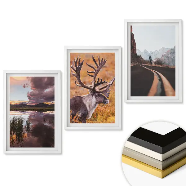 Triptych v ráme Príroda v troch verziách