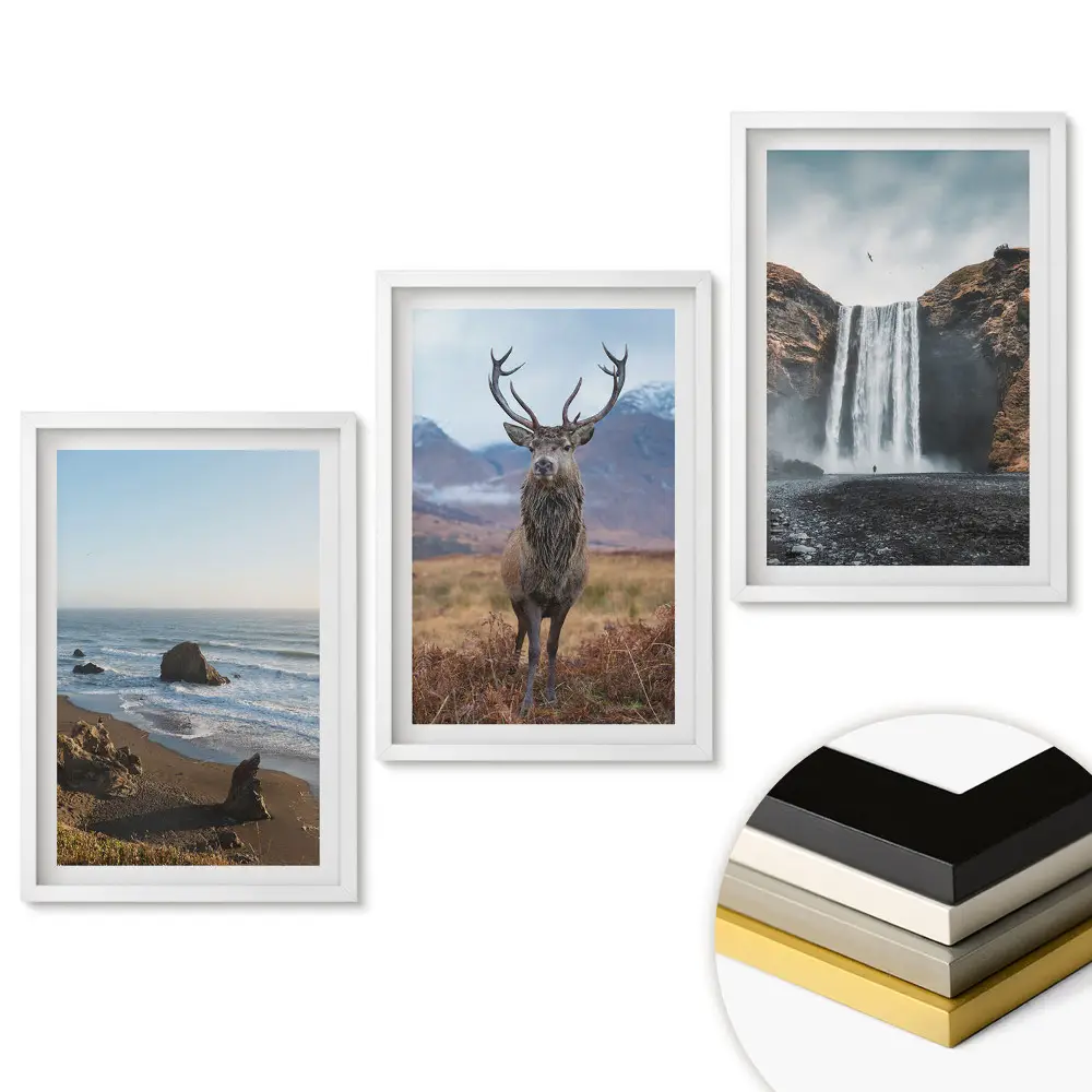 Triptych v ráme Príroda v troch verziách