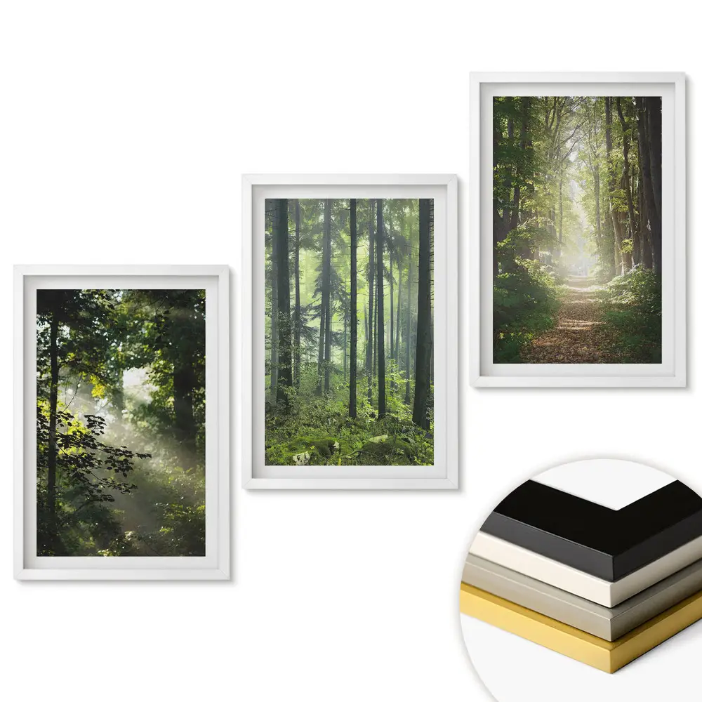 Triptych v ráme Zelené oázy pokoja v lese
