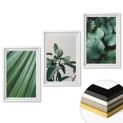 Triptych v ráme Zelená harmónia v troch verziách