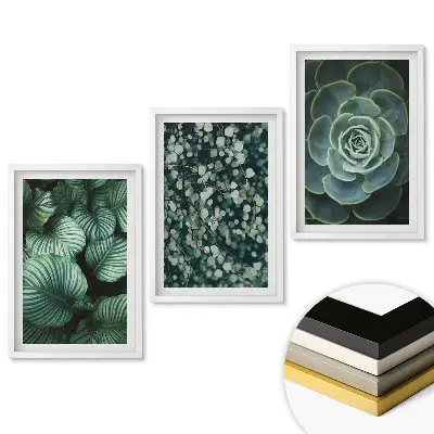 Triptych v ráme Zelená krása prírody v troch obrázkoch
