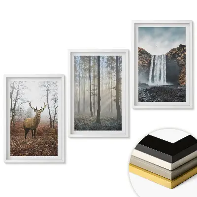 Triptych v ráme Príroda v troch rôznych verziách