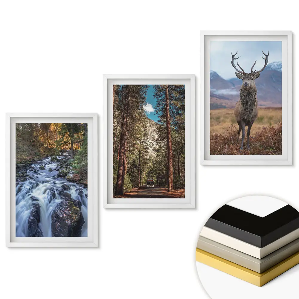 Triptych v ráme Príroda v troch verziách
