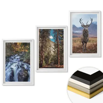 Triptych v ráme Príroda v troch verziách