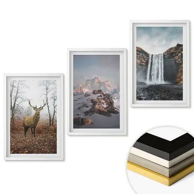 Triptych v ráme Príroda v troch verziách
