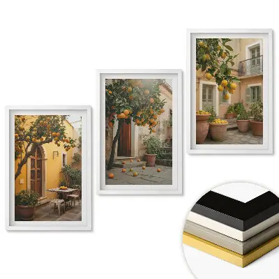 Triptych v ráme Citrusové plody na slnečnom mieste